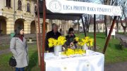 provedena-akcija-dan-mimoza-201804